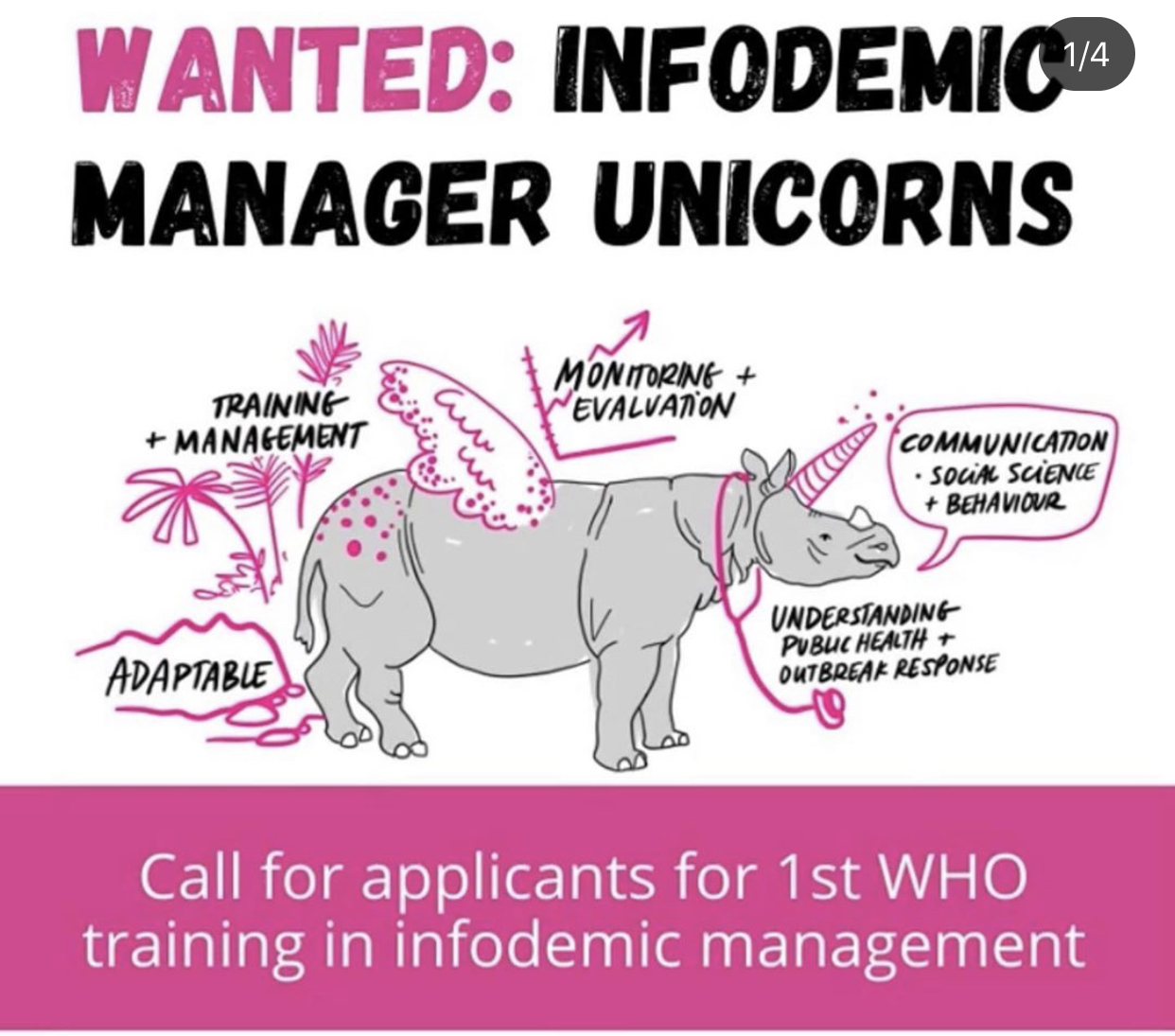 The World Health Organization first cohort of Infodemic managers, called infodemic manager unicorns to support public health