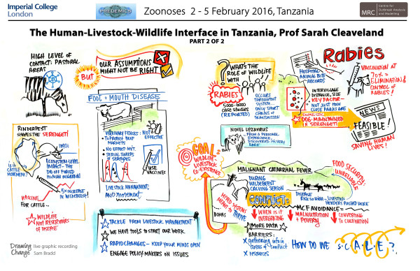 graphic recording Cleaveland-Human-Livestock-Wildlife-Interface-Zoonoses visual summary scribing