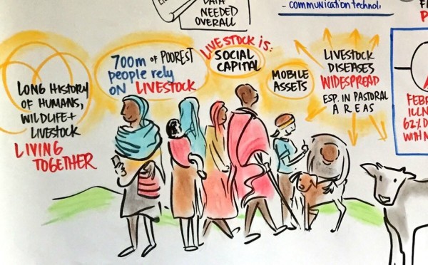 tanzania graphic recording about how interdependent humans and livestock are re: zoonotic disease outbreaks
