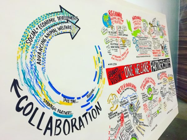 graphic recording one health sam bradd one welfare