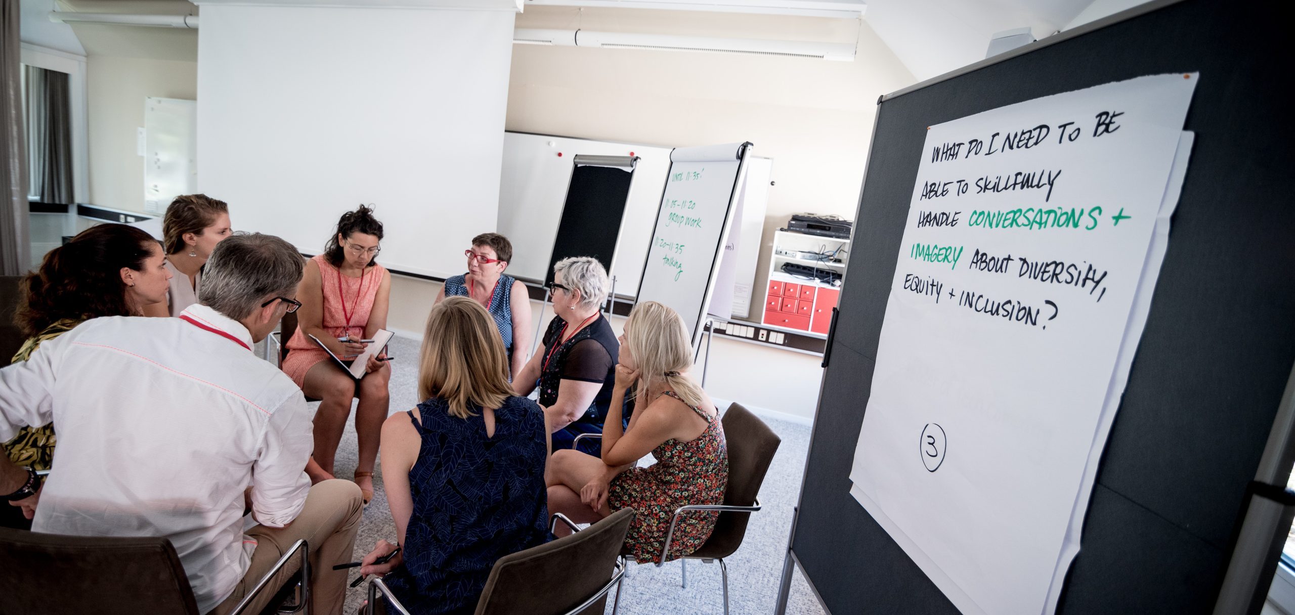 from Euviz workshop led by Julie Stewart, Sam Bradd at IFVP.org looking at diversity and inclusion in the field of visual practice