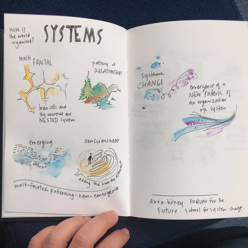 illustration of the word systems and the text says how is the world organized? fractrals, emerging, consciousness, systems change is emergence of a new pattern of an organization or system