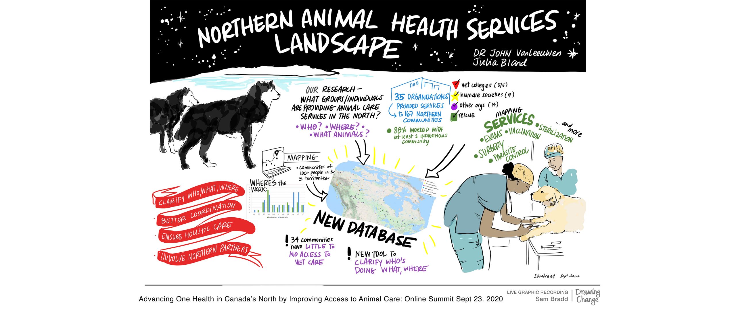 graphic recording of Animal Care in the North event byVeterinarians without borders online summit by Drawing Change