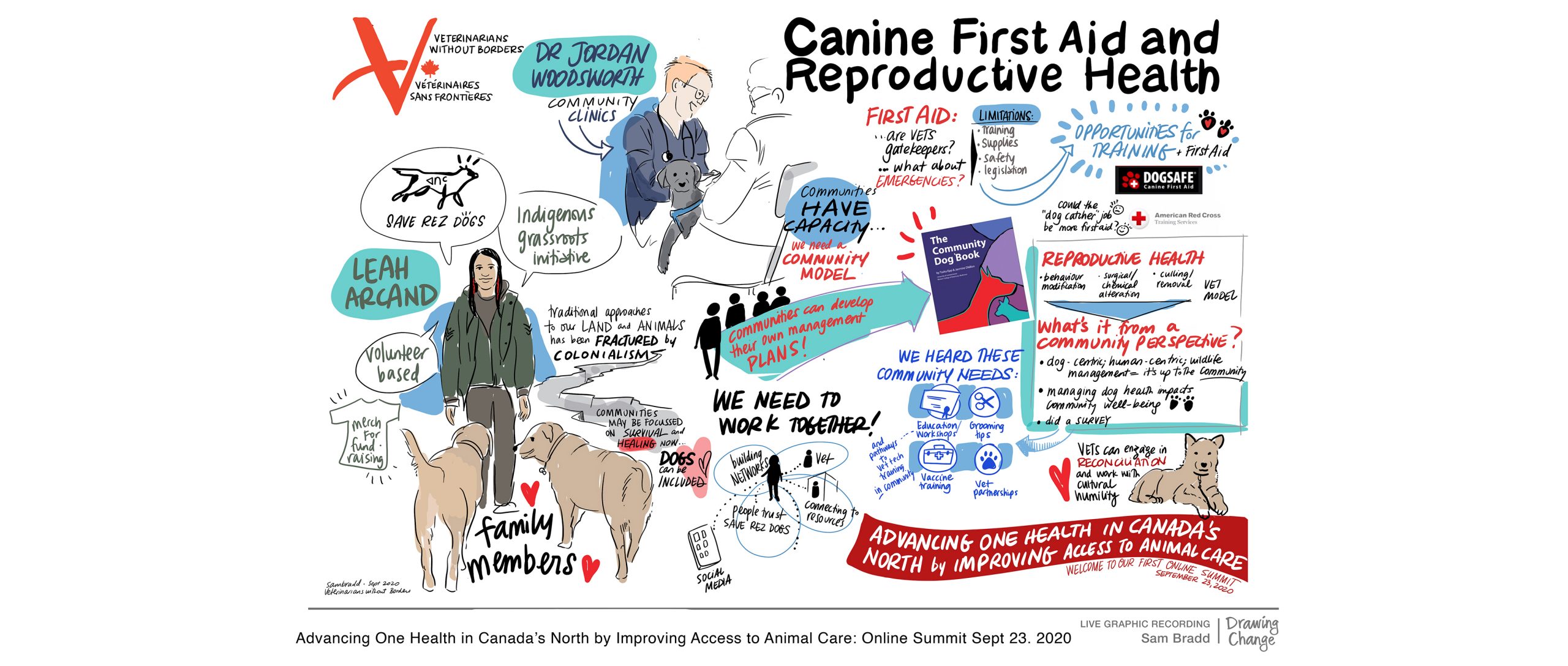 graphic recording of Veterinarians without borders online summit by Drawing Change
