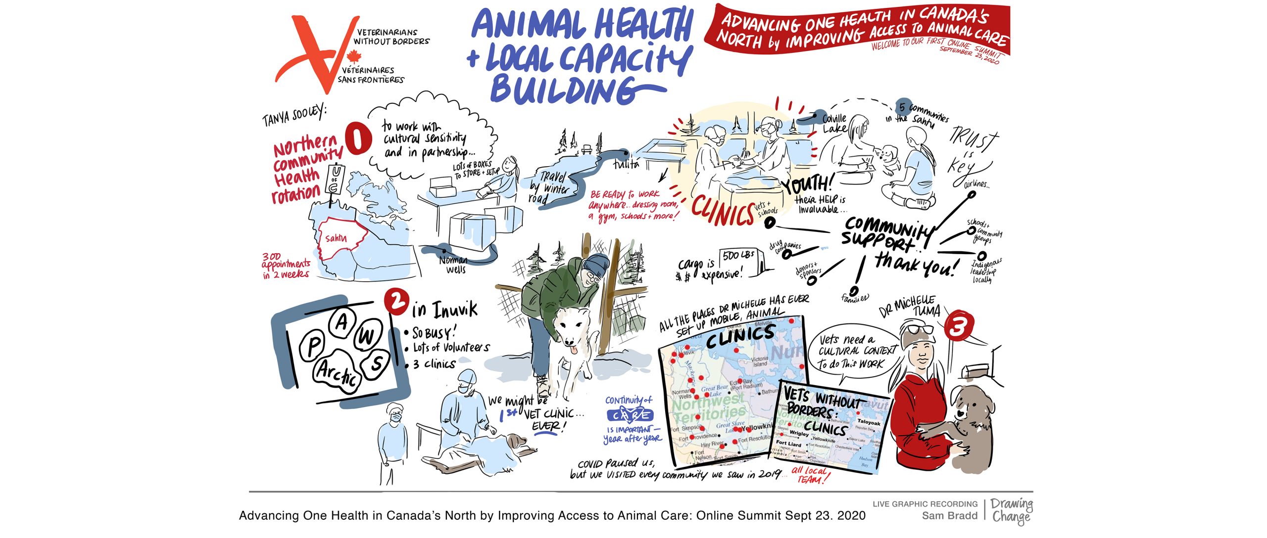 Animal Care in the North online event graphic recording of Veterinarians without borders online summit by Drawing Change