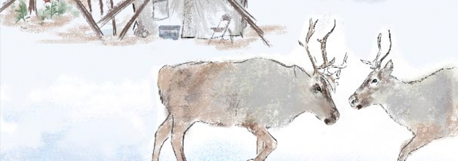 Sahtu Renewable Resources Board Harvest Law Caribou Graphic Recording