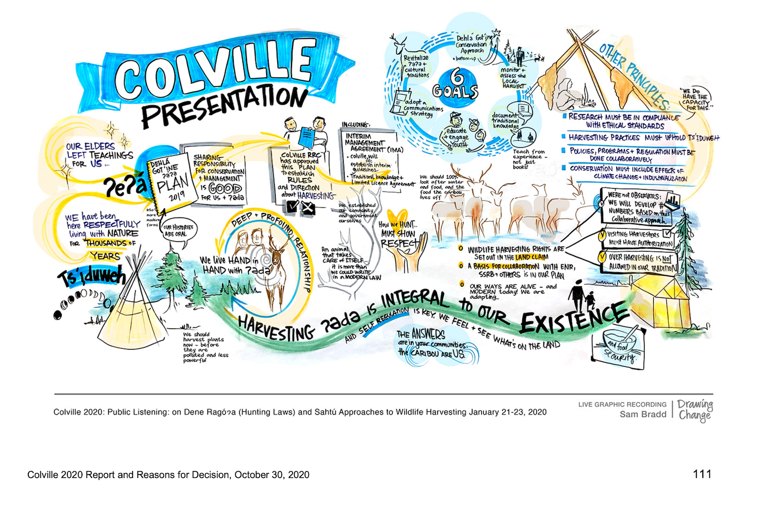 graphic recording of the Colville presentation Harvesting ɂede is integral to our existence as a key theme 