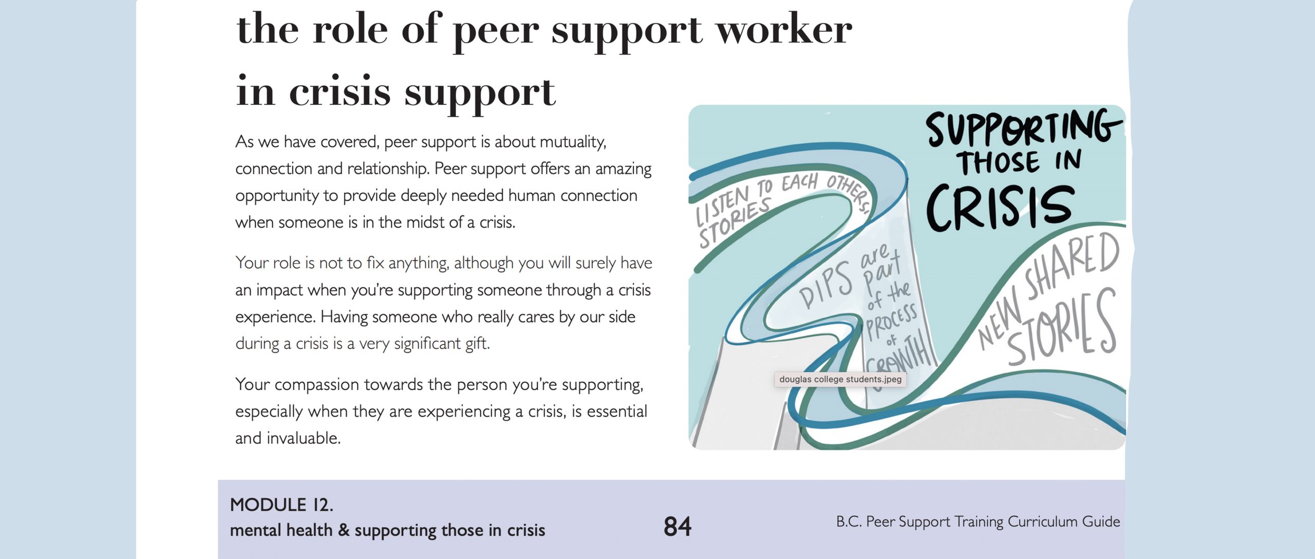 core competencies peer support curriculum bc campus