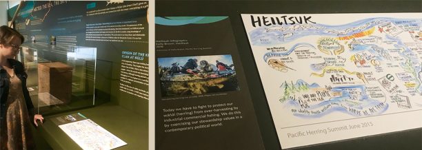 graphic recording featured at an exhibit at the Museum of Anthropolgy curated by the Heiltsuk Nation and drawn by Sam Bradd about pacific herring 