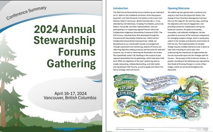 2024 Annual Stewardship Forums Gathering with graphic recording by drawing change in the report 
