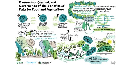 agriculture and data governance - GODAN graphic recording of webinar and report