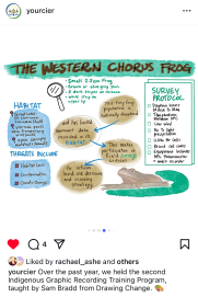 CIER held the second Indigenous Graphic Recording Training Program taught by Drawing Change with a focus on species at risk, this is a student project about the western chorus frog illustrated by hand