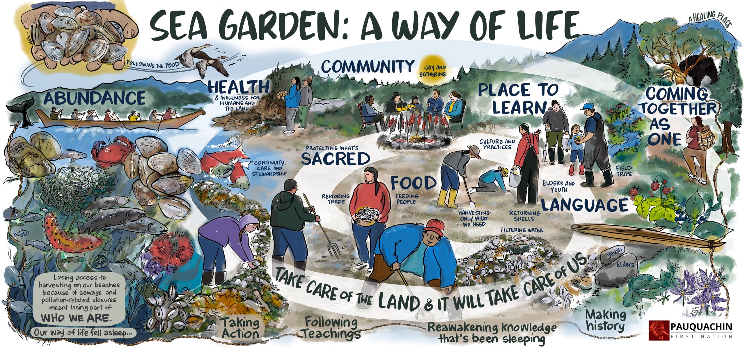 Illustrating a traditional Sea Garden for the Pauquachin First Nation