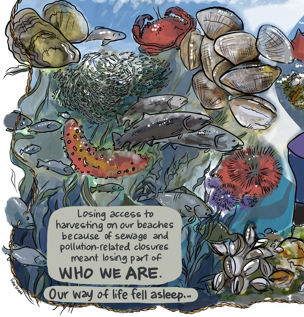 Illustration for Pauquachin First Nation and creating a traditional Sea Garden, text has abundant marine fish and shellfish with text that says losing access to harvesting... meant losing part of who we are. Our way of life fell asleep